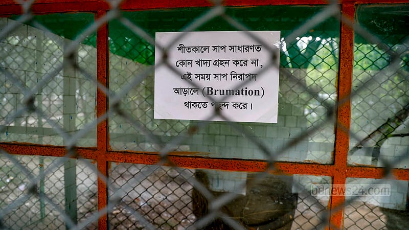 ঢাকার মিরপুরে চিড়িয়াখানায় সাপের খাঁচায় শীতের সময় অনেকেই সাপ খুঁজে পায় না। কর্তৃপক্ষ লিখে রেখেছে, “শীতকালে সাপ সাধারণত কোনো খাদ্য গ্রহণ করে না, এই সময় সাপ নিরাপদ আড়ালে থাকতে পছন্দ করে।”