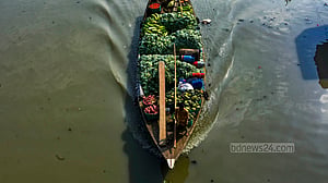 শীতের সবজি