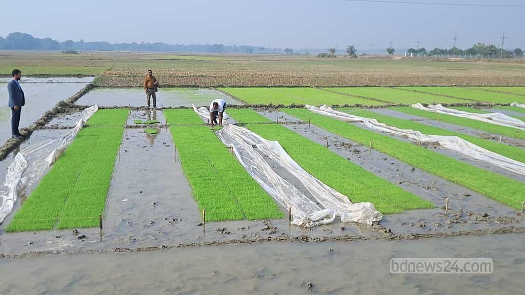 তীব্র শীতে কপালে ভাঁজ কৃষকের