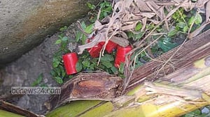 কালভার্টের নিচে চারটি হাতবোমা