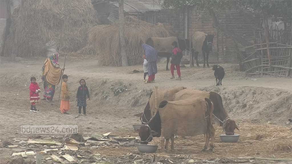 ‘জারোতে হাত-ঠ্যাং টট্টরী নাগছে বাহে’