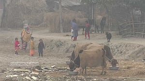 ‘জারোতে হাত-ঠ্যাং টট্টরী নাগছে বাহে’
