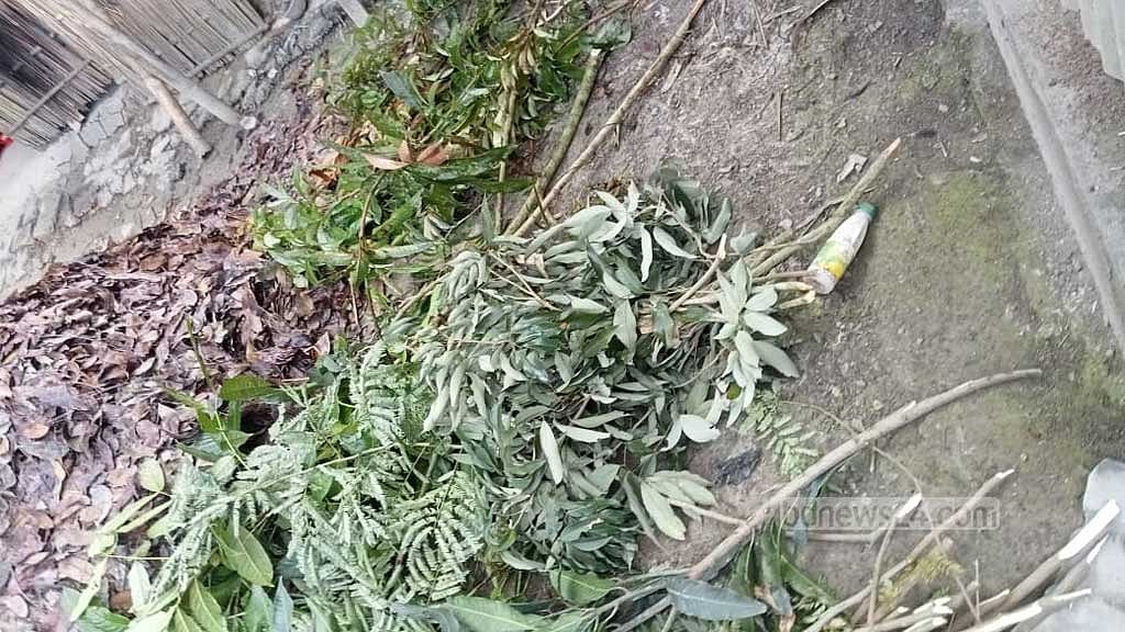 হাতাহাতি গড়াল সহিংসতায়, কাটা পড়ল সাড়ে আটশ গাছ