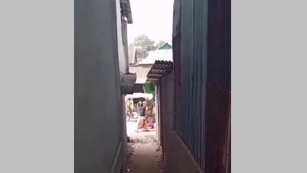 বিএনপি নেতাকে খুন: কোপাতে কোপাতে খুনির উল্লাসের ভিডিও ভাইরাল