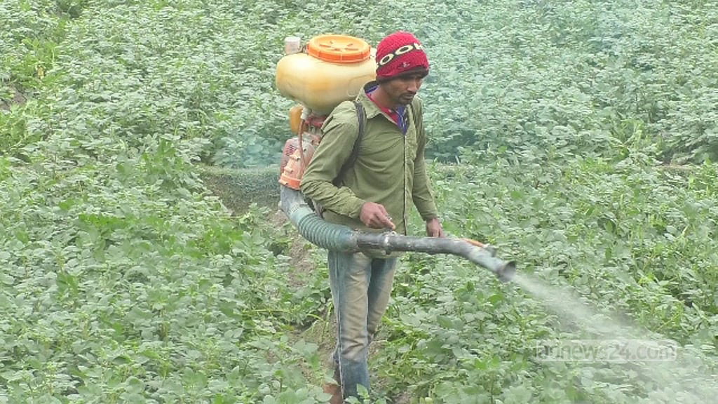 মাঘের শীতে বিপর্যস্ত দিনাজপুরের জনজীবন