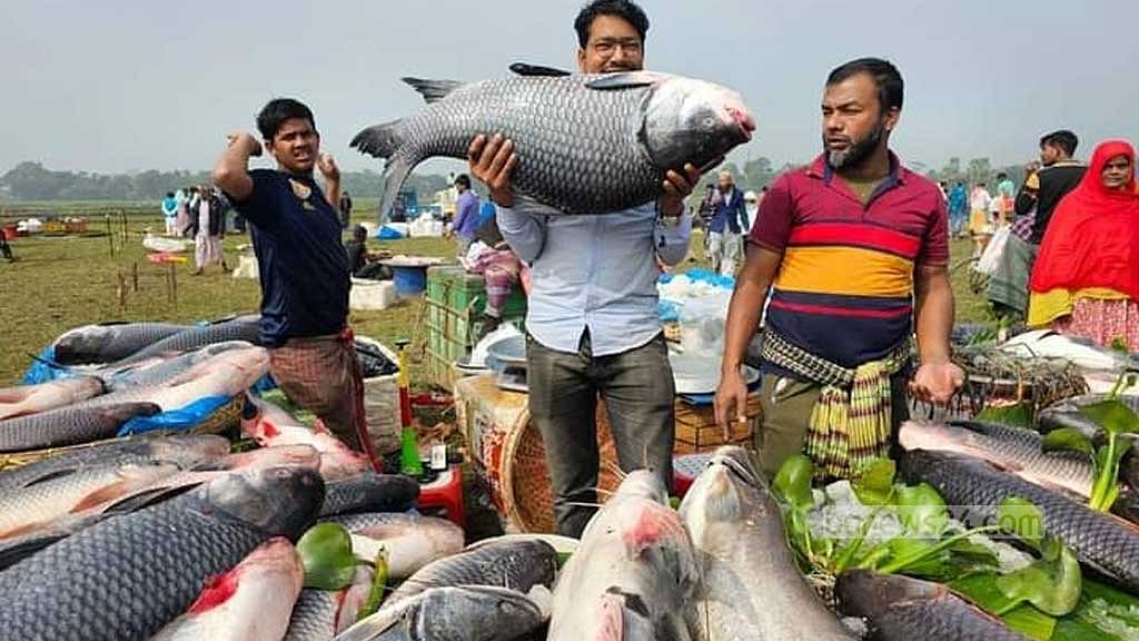 গাজীপুরে জামাই মেলায় মাছ কেনার প্রতিযোগিতা