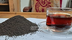 রেকর্ড ১০ কোটি কেজি চা উৎপাদনের লক্ষ্য পূরণ