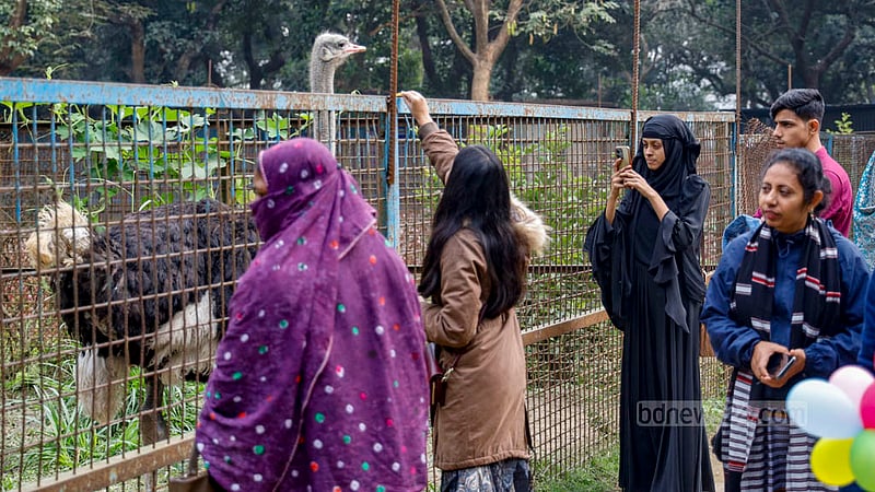 ঢাকার মিরপুরে চিড়িয়াখানায় প্রতিটি খাঁচার বাইরে পশুপাখিদের খাওয়ানো থেকে বিরত থাকতে দর্শনার্থীদের বলা হলেও তা সবাই মানেন না। উটপাখিকে খাবার দিচ্ছে এক তরুণী, আর সেই দৃশ্য ফোনে বন্দি করছে তার পরিবারের একজন।