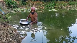মাদারীপুরে মাছের ঘেরে ‘বিষ প্রয়োগ’, থানায় অভিযোগ