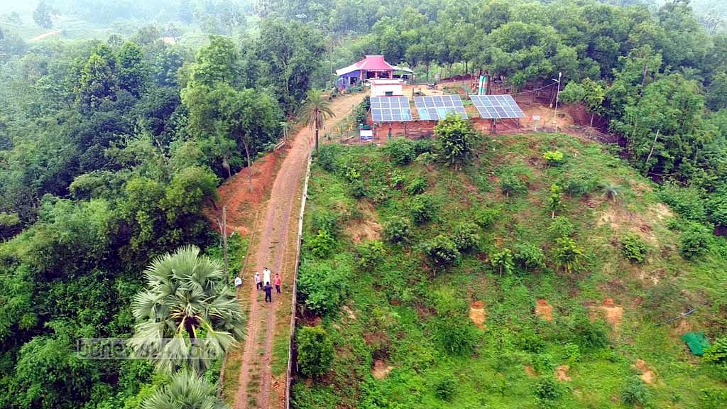 লালমাই পাহাড়ের ‘পরিত্যক্ত জঙ্গলে’ সম্ভাবনার দ্বার খুলেছে