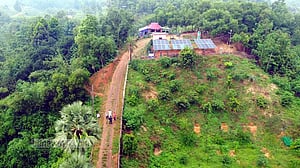 লালমাই পাহাড়ের ‘পরিত্যক্ত জঙ্গলে’ সম্ভাবনার দ্বার খুলেছে