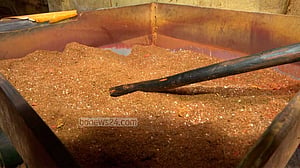 রং ছাড়াও হলুদ-মরিচের গুড়ায় মেশানো হত চাল
