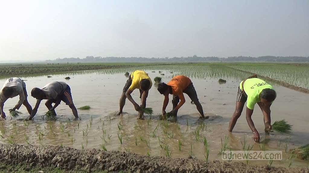 সংসদে কৃষি জমি সুরক্ষা আইন পাসের পরামর্শ, রায় প্রকাশ