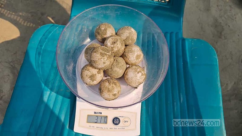 রামু উপজেলার পেঁচারদ্বীপে বাংলাদেশ সমুদ্র গবেষণা ইনস্টিটিউটের (বোরি) কর্মীরা ডিমগুলোর ওজন নিচ্ছেন।