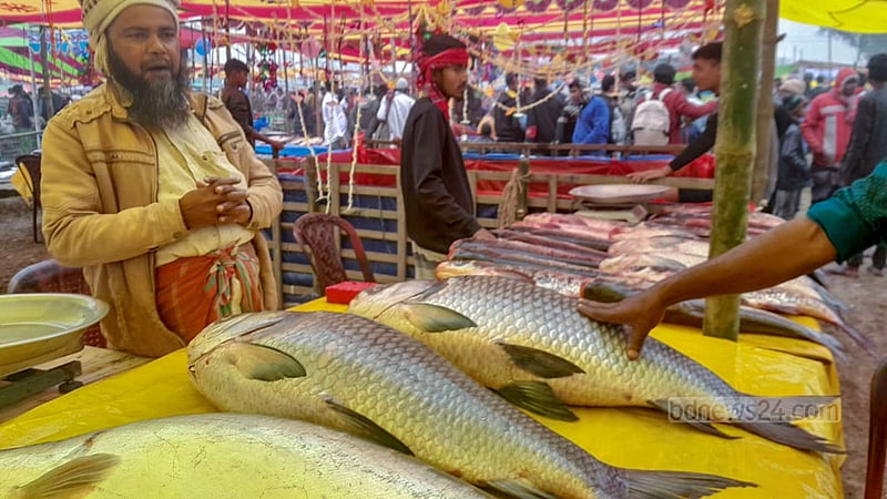 পোড়াদহ মেলার একটি স্টলে বিভিন্ন প্রজাতির মাছ।