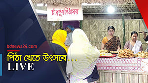 পিঠার সমাহার শিল্পকলায়