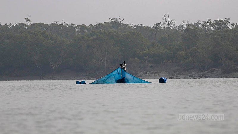 দাকোপের সুতারখালী নদীতে নিষিদ্ধ জাল ফেলে রেণু শিকারে একজন।