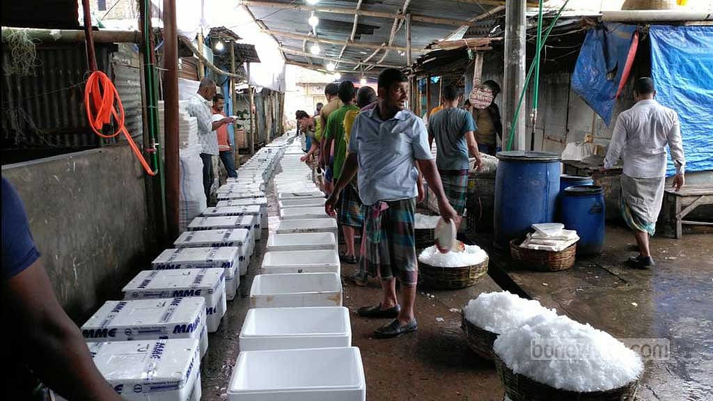 বরিশালে আড়তে ইলিশের সংকট, বেড়েছে দাম