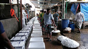 বরিশালে আড়তে ইলিশের সংকট, বেড়েছে দাম