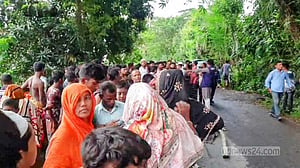 চুয়াডাঙ্গায় ট্রাকের চাকায় পিষ্ট হয়ে ভ্যান চালকের মৃত্যু
