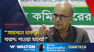 সৌরবিদ্যুৎ ব্যবহারে অগ্রাধিকার: প্রধানমন্ত্রীর জ্বালানি উপদেষ্টা