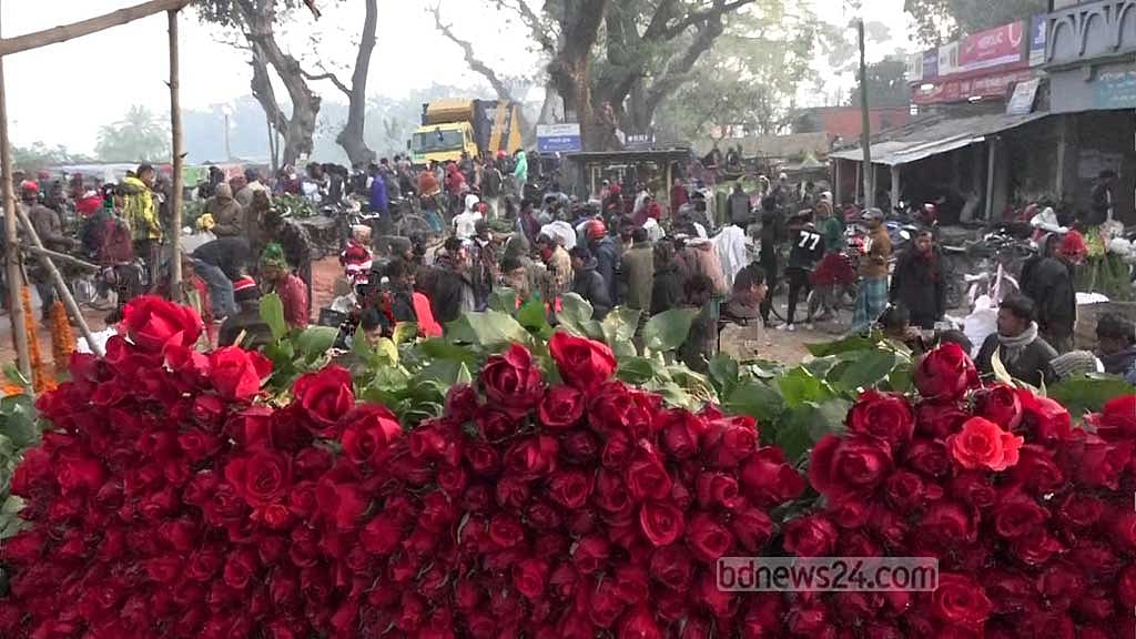 দাম চড়েছে গদখালীর ফুল বাজারে