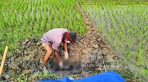 ধানক্ষেতে পুঁতে রাখা ছিল নিখোঁজ শিশুর লাশ, সৎ বাবাসহ গ্রেপ্তার ২