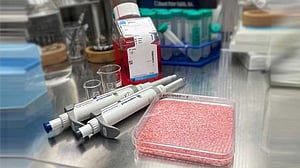 প্রোটিনের মাত্রা বাড়াতে ‘মাংসালো ভাত’ বানালেন বিজ্ঞানীরা