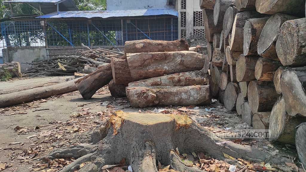 শীতলক্ষ্যা পাড়ের অর্ধশতাধিক গাছে কোপ, উদ্বেগ পরিবেশবাদীদের