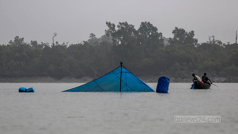 দাকোপের সুতারখালী নদীতে রেণু শিকার করছে উপকূলের দুই বাসিন্দা।