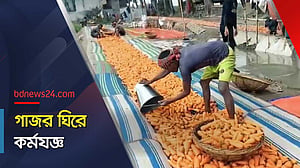 মাটি মাখা গাজর যেভাবে রঙিন হয়ে যায় বাজারে