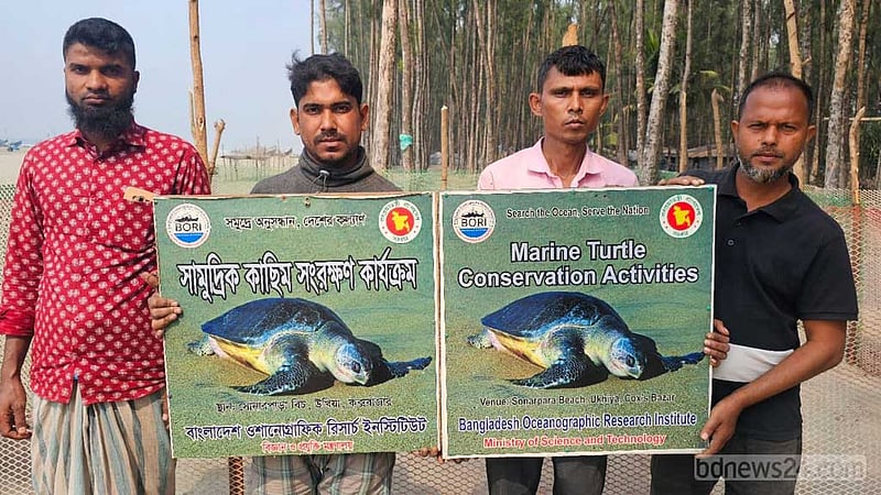 বাংলাদেশ সমুদ্র গবেষণা ইনস্টিটিউট সামুদ্রিক কাছিম সংরক্ষণ কার্যক্রম পরিচালনা করে।