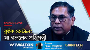 ভারত থেকে কম দামে বিদ্যুৎ পাচ্ছে বাংলাদেশ, বললেন প্রতিমন্ত্রী