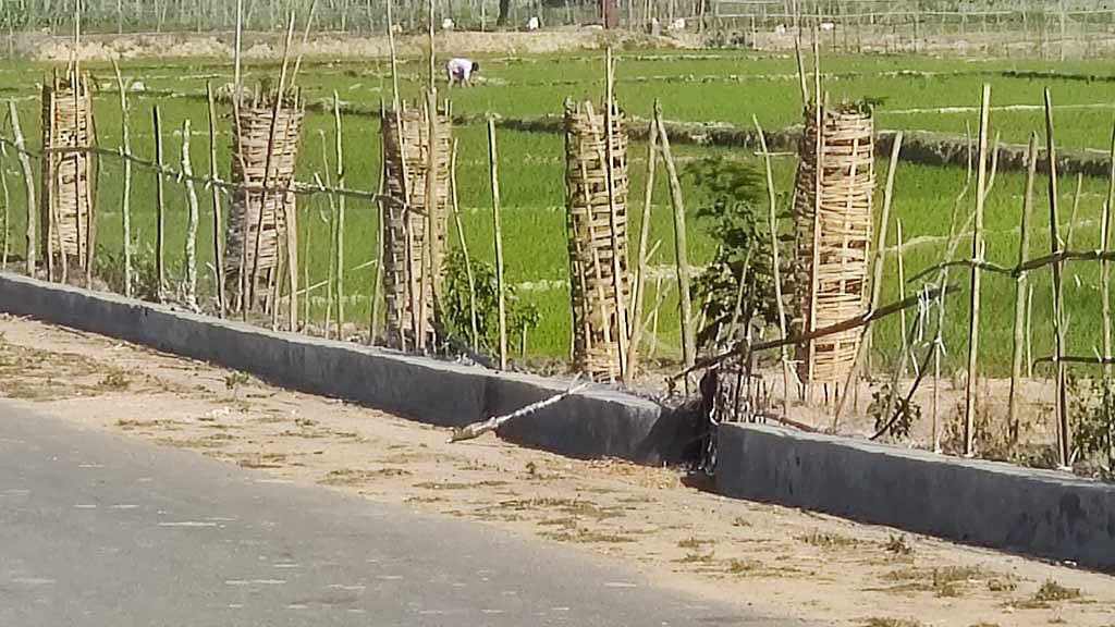 তুমব্রু সীমান্তে ধানক্ষেতে রকেট লাঞ্চার, তুলে আনলেন নারী