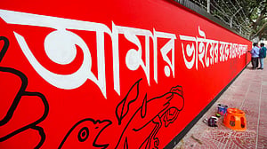 শহীদ মিনারের সাজসজ্জা