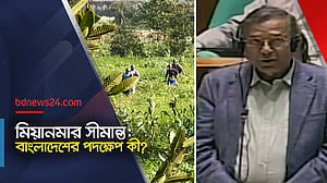 মিয়ানমার সীমান্ত পরিস্থিতি: সংসদে যা বললেন আইনমন্ত্রী