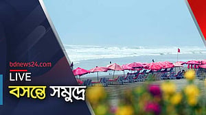 এবারের বসন্তে কক্সবাজার সৈকত পরিস্থিতি