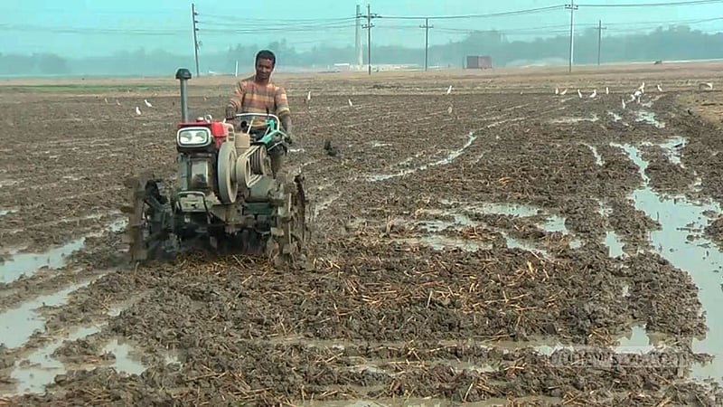 নওগাঁ সদর উপজেলার বরুনাকান্দি এলাকায় ট্রাক্টর দিয়ে জমি তৈরি করা হচ্ছে।