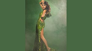 মিমি এখন সাবেক এমপি, পদত্যাগের কারণ কী?