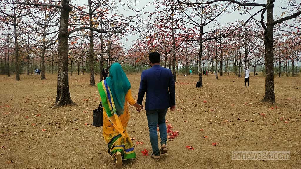 রক্তরাঙা শিমুল বাগানে ফাল্গুনী ভালোবাসা