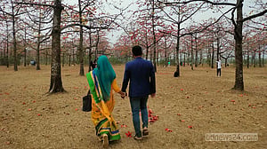 রক্তরাঙা শিমুল বাগানে ফাল্গুনী ভালোবাসা