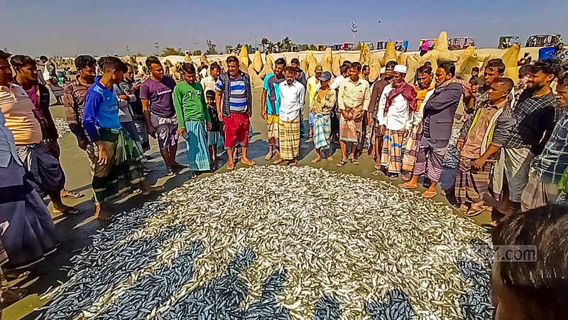 টেকনাফের সাবরাং টুরিজম পার্ক সংলগ্ন সমুদ্র সৈকত এলাকায় এক জালে প্রায় ৩০০ মণ মাছ ধরা পড়ার পর উৎসুক স্থানীয়দের ভিড়।