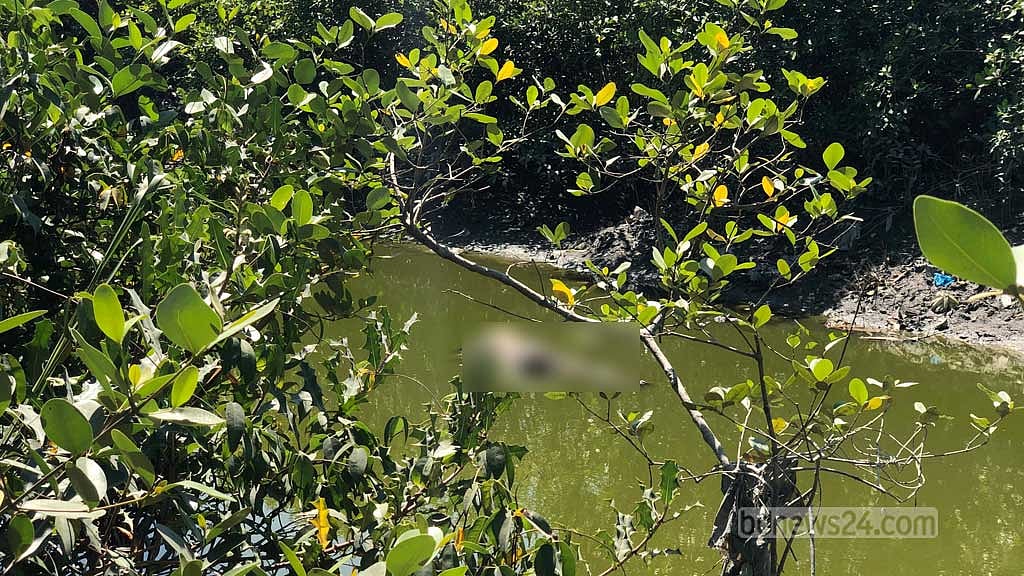 কক্সবাজারে খালে মিলল ইজিবাইক চালকের অর্ধগলিত লাশ