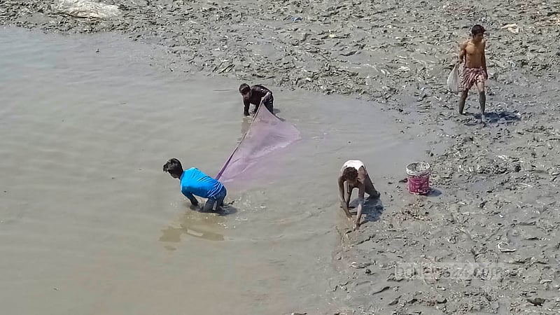 চট্টগ্রামে আগুনে পোড়া এস আলম গ্রুপের গুদামের অপরিশোধিত চিনির গলিত বর্জ্য কর্ণফুলী নদীতে পড়ায় মঙ্গলবার বিকাল বিভিন্ন রকম মাছ ও জলজ প্রাণী ভেসে উঠতে শুরু করে।