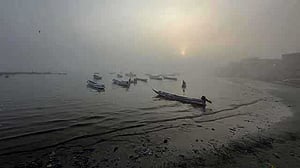 সেনেগাল উপকূলে নৌকাডুবিতে ২০ অভিবাসন প্রত্যাশীর মৃত্যু