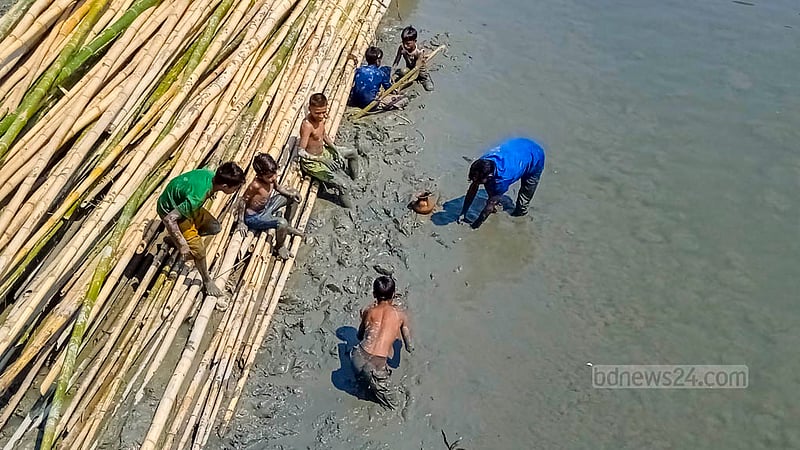 কর্ণফুলী নদীর তীরের কাছে ভাসছে মাছ আর তীরের কাদায় আটকে থাকা মাছ ধরছেন স্থানীয়রা।