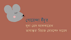 গোয়েন্দা ইঁদুর