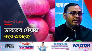 ভারত থেকে পেঁয়াজ আমদানি: যা বললেন বাণিজ্য প্রতিমন্ত্রী