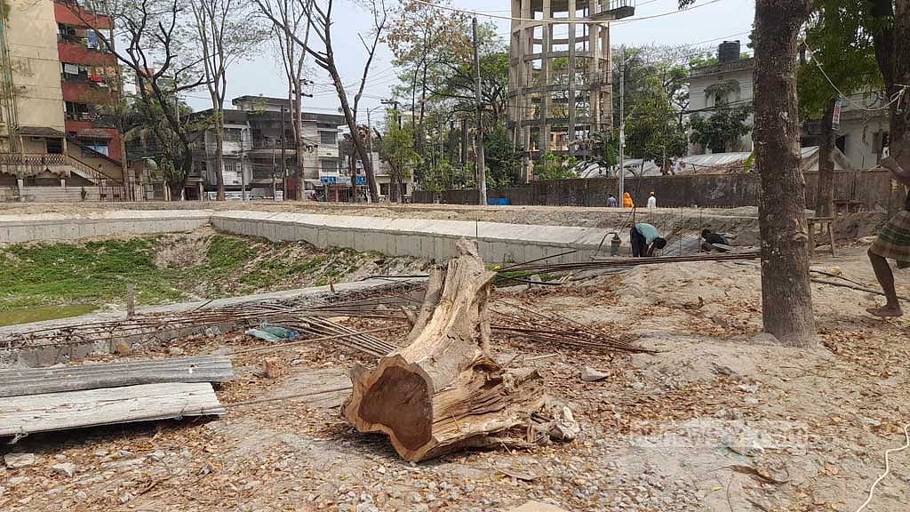 সিলেট নগরীতে চলছে ‘অপরিকল্পিত উন্নয়ন’, প্রাচীন বৃক্ষ নিধন