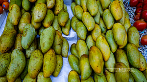 বাজারে ভিনদেশি আম